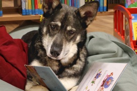 PM 2026-019 Lesetraining der Stadtbücherei mit Vorlesehund Jimmy startet im Februar 2