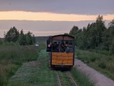 PM 199 B1 41 Nachtfalterarten bei Kartierung im Himmelmoor nachgewiesen PM 199 B1 41 Nachtfalterarten bei Kartierung im Himmelmoor nachgewiesen