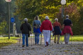 Gesundheits-Nordic-Walking im Herbst mit der VHS Quickborn Gesundheits-Nordic-Walking im Herbst mit der VHS Quickborn