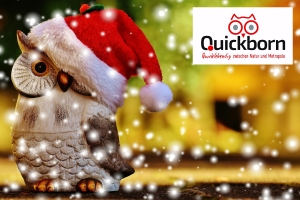 christmas-1906639_Alexa auf Pixabay mit Quickborn_logo