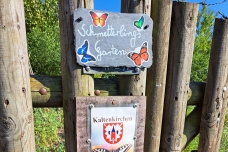 PM 184 B2 Quickborner Stadtjugendpflege Programm-Highlights