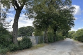 PM 207 B1 Stadt entfernt drei pilzbefallene Bäume