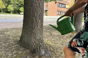 PM 208 Gemeinsam für die Bäume in Quickborn