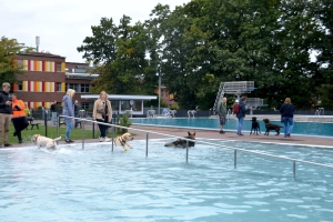 PM 293_2 Freibad den Fellnasen