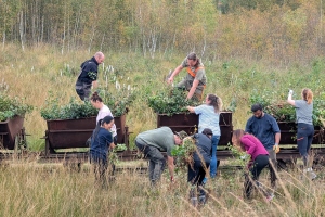 PM 355 Erster Entkusselungstag der Wintersaison im Himmelmoor